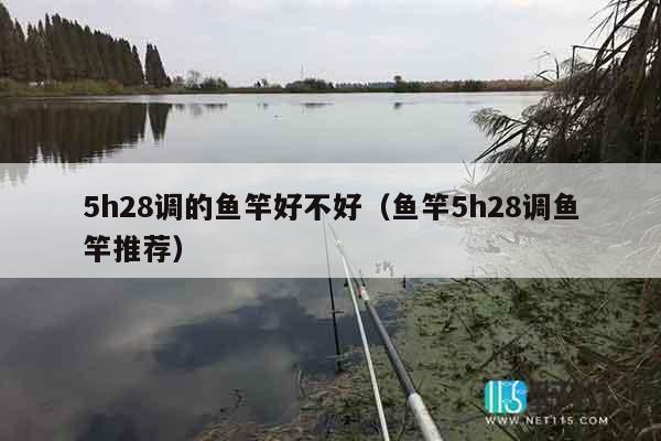 5h28调的鱼竿好不好（鱼竿5h28调鱼竿推荐）