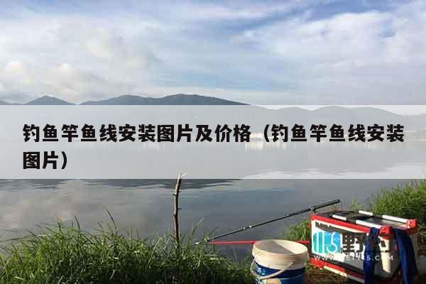 钓鱼竿鱼线安装图片及价格（钓鱼竿鱼线安装图片）