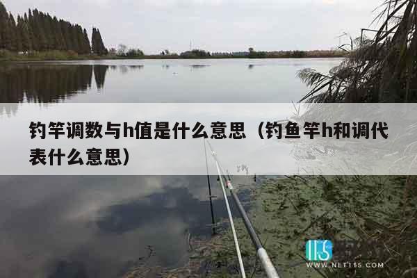 钓竿调数与h值是什么意思（钓鱼竿h和调代表什么意思）