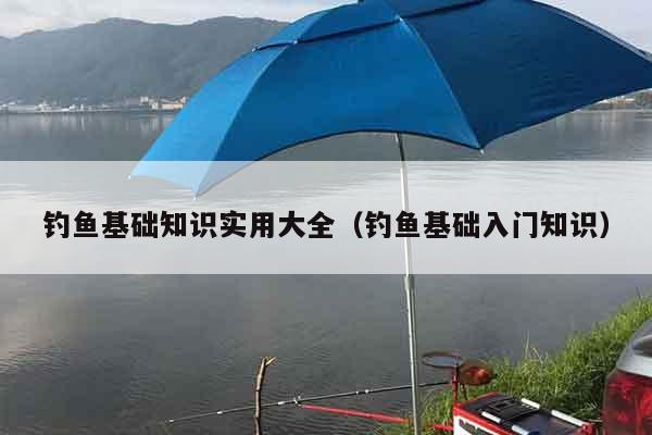 钓鱼基础知识实用大全（钓鱼基础入门知识）