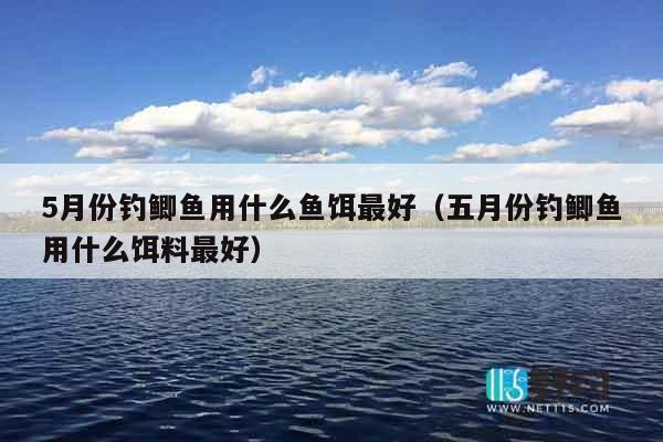 5月份钓鲫鱼用什么鱼饵最好（五月份钓鲫鱼用什么饵料最好）