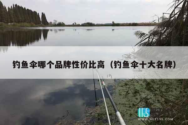钓鱼伞哪个品牌性价比高（钓鱼伞十大名牌）