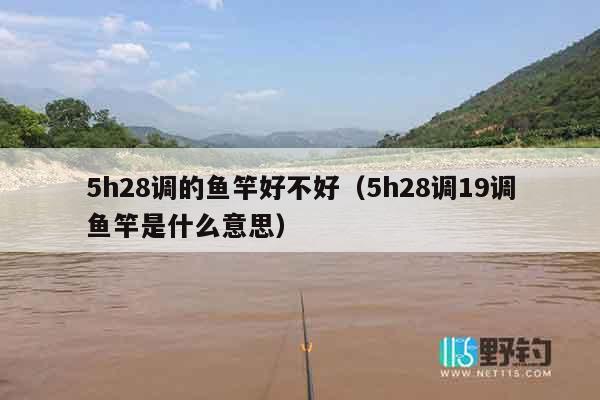 5h28调的鱼竿好不好（5h28调19调鱼竿是什么意思）