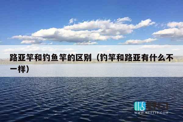 路亚竿和钓鱼竿的区别（钓竿和路亚有什么不一样）