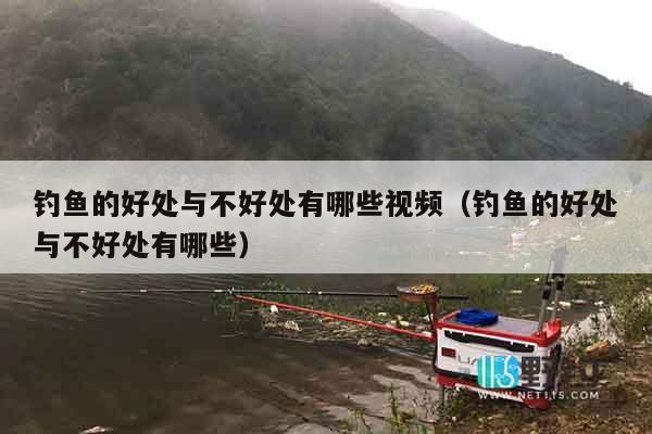 钓鱼的好处与不好处有哪些视频（钓鱼的好处与不好处有哪些）