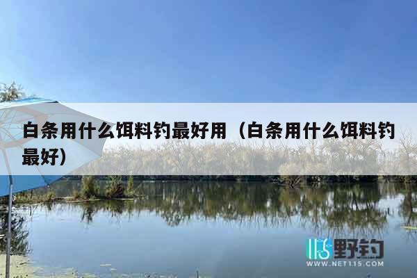 白条用什么饵料钓最好用（白条用什么饵料钓最好）