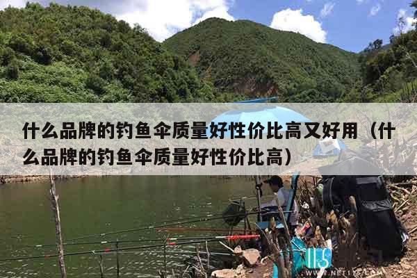 什么品牌的钓鱼伞质量好性价比高又好用（什么品牌的钓鱼伞质量好性价比高）