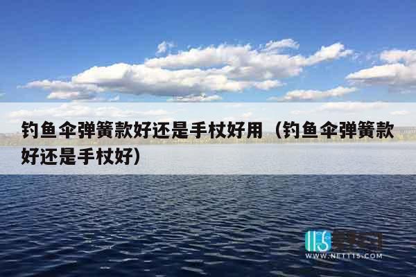 钓鱼伞弹簧款好还是手杖好用（钓鱼伞弹簧款好还是手杖好）