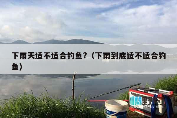 下雨天适不适合钓鱼?（下雨到底适不适合钓鱼）