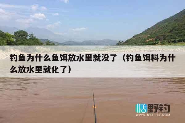 钓鱼为什么鱼饵放水里就没了（钓鱼饵料为什么放水里就化了）
