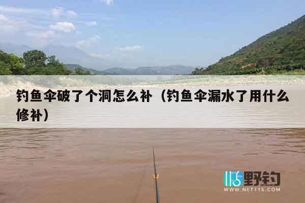钓鱼伞破了个洞怎么补（钓鱼伞漏水了用什么修补）