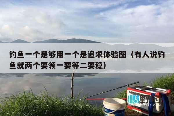 钓鱼一个是够用一个是追求体验图（有人说钓鱼就两个要领一要等二要稳）