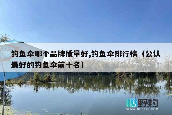 钓鱼伞哪个品牌质量好,钓鱼伞排行榜（公认最好的钓鱼伞前十名）