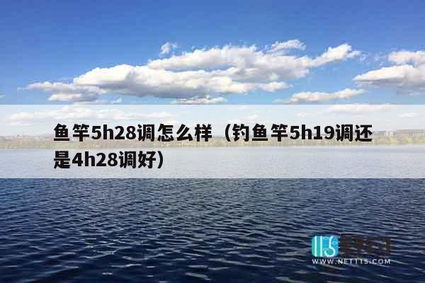 鱼竿5h28调怎么样（钓鱼竿5h19调还是4h28调好）