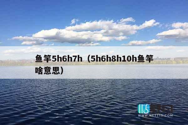鱼竿5h6h7h（5h6h8h10h鱼竿啥意思）