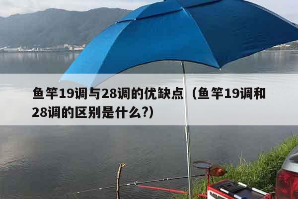 鱼竿19调与28调的优缺点（鱼竿19调和28调的区别是什么?）