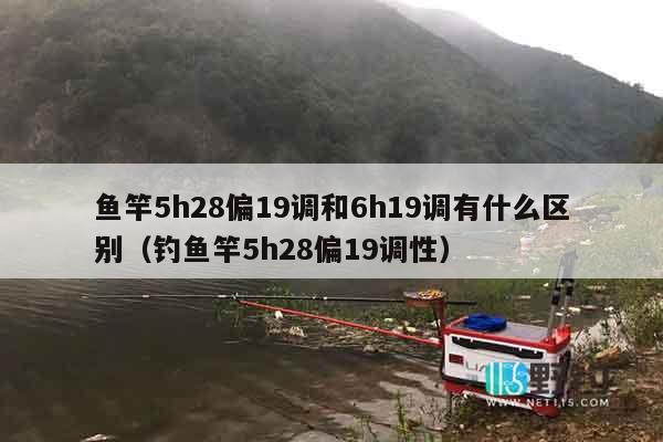 鱼竿5h28偏19调和6h19调有什么区别（钓鱼竿5h28偏19调性）