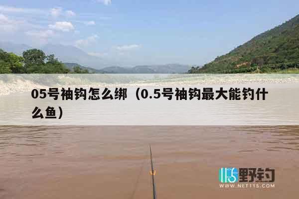 05号袖钩怎么绑（0.5号袖钩最大能钓什么鱼）