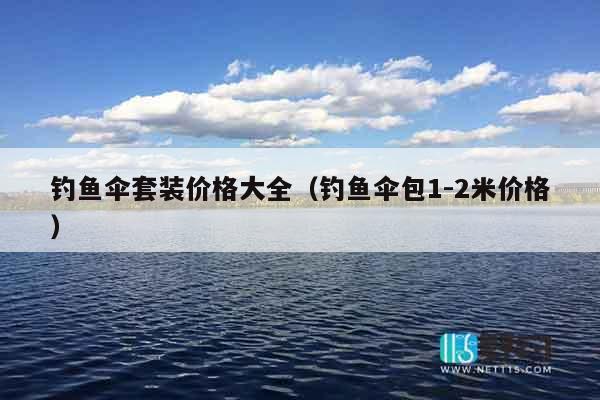 钓鱼伞套装价格大全（钓鱼伞包1-2米价格）
