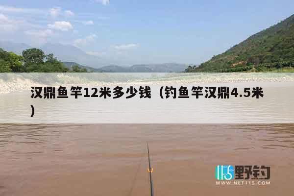 汉鼎鱼竿12米多少钱（钓鱼竿汉鼎4.5米）