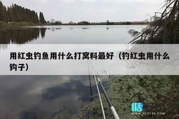 用红虫钓鱼用什么打窝料最好（钓红虫用什么钩子）