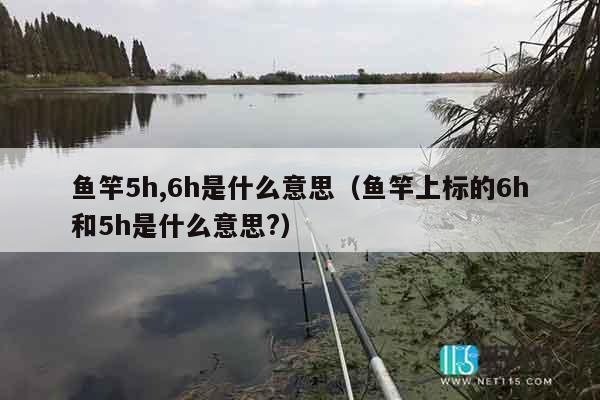 鱼竿5h,6h是什么意思（鱼竿上标的6h和5h是什么意思?）
