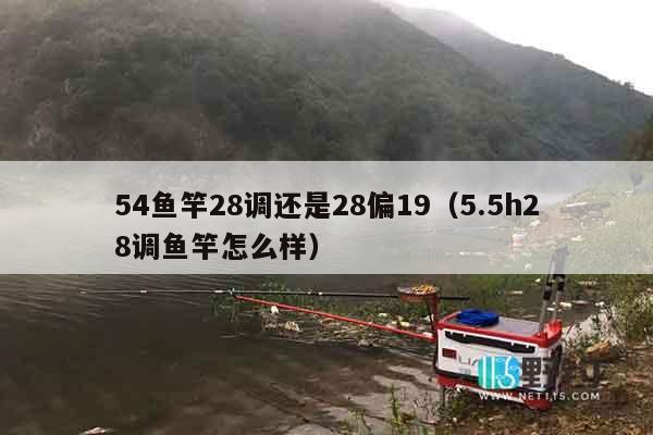 54鱼竿28调还是28偏19（5.5h28调鱼竿怎么样）