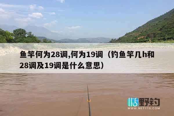 鱼竿何为28调,何为19调（钓鱼竿几h和28调及19调是什么意思）