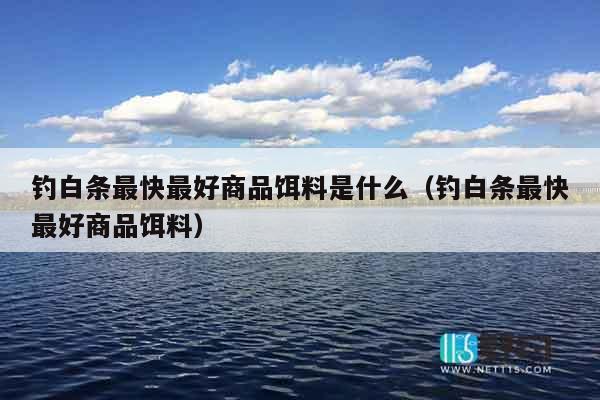 钓白条最快最好商品饵料是什么（钓白条最快最好商品饵料）