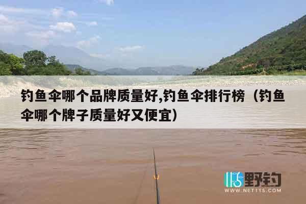 钓鱼伞哪个品牌质量好,钓鱼伞排行榜（钓鱼伞哪个牌子质量好又便宜）