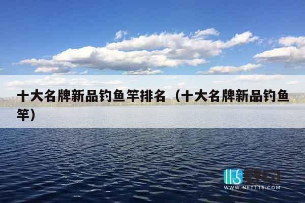 十大名牌新品钓鱼竿排名（十大名牌新品钓鱼竿）