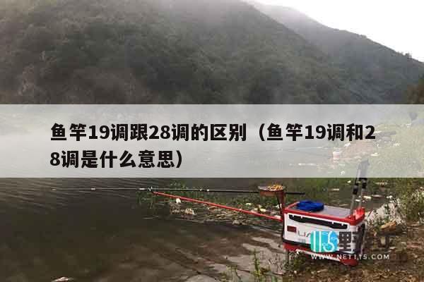 鱼竿19调跟28调的区别（鱼竿19调和28调是什么意思）