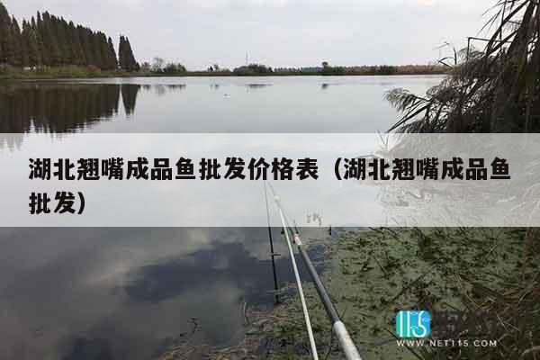 湖北翘嘴成品鱼批发价格表（湖北翘嘴成品鱼批发）