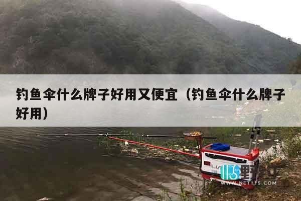 钓鱼伞什么牌子好用又便宜（钓鱼伞什么牌子好用）