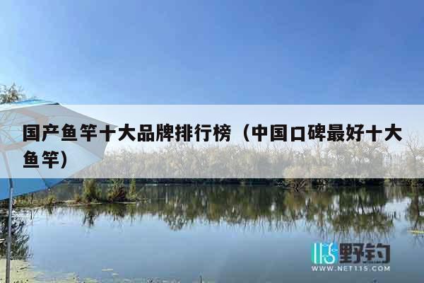 国产鱼竿十大品牌排行榜（中国口碑最好十大鱼竿）