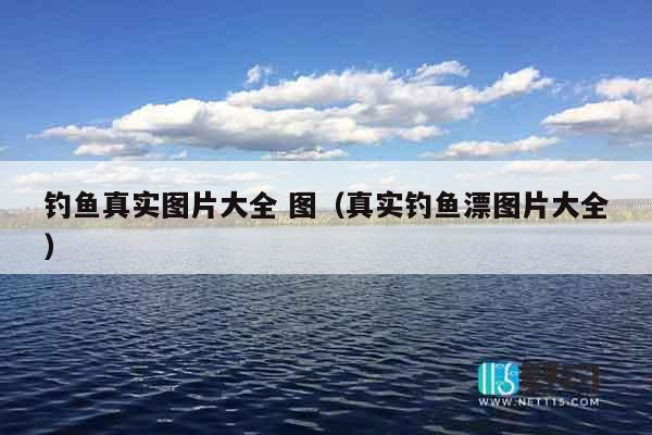 钓鱼真实图片大全 图（真实钓鱼漂图片大全）