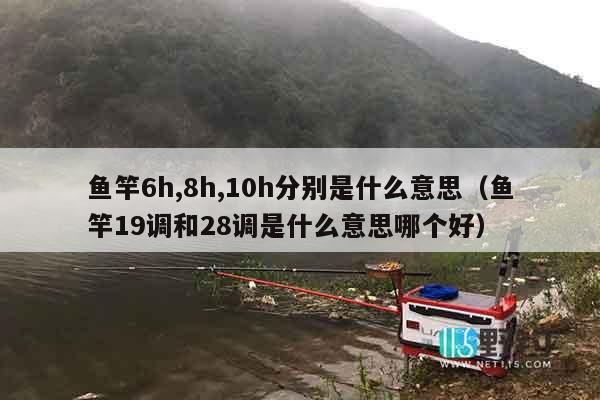 鱼竿6h,8h,10h分别是什么意思（鱼竿19调和28调是什么意思哪个好）