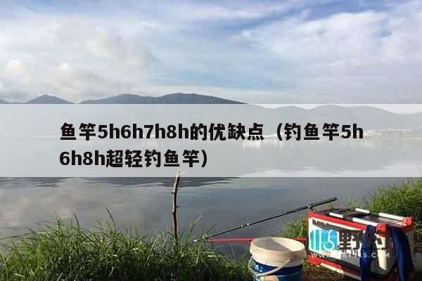 鱼竿5h6h7h8h的优缺点（钓鱼竿5h6h8h超轻钓鱼竿）