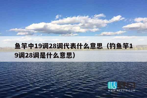 鱼竿中19调28调代表什么意思（钓鱼竿19调28调是什么意思）