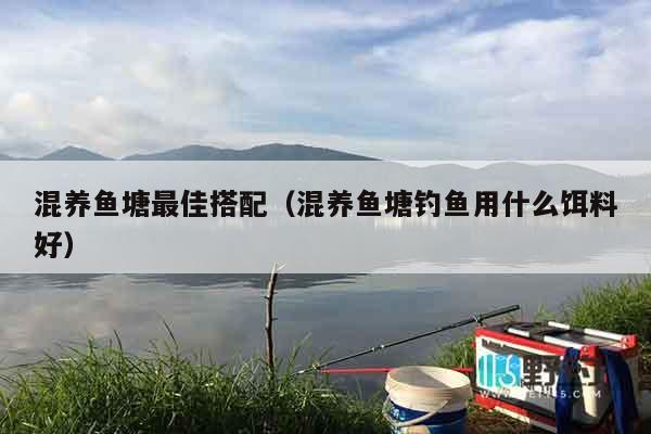 混养鱼塘最佳搭配（混养鱼塘钓鱼用什么饵料好）