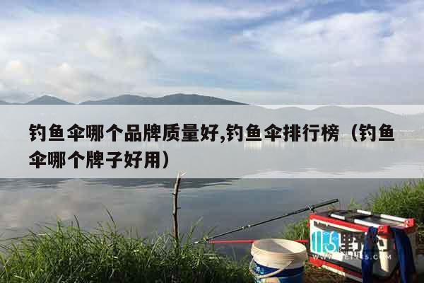 钓鱼伞哪个品牌质量好,钓鱼伞排行榜（钓鱼伞哪个牌子好用）
