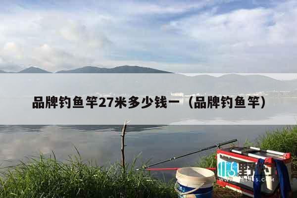 品牌钓鱼竿27米多少钱一（品牌钓鱼竿）