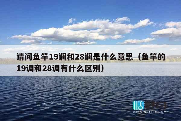 请问鱼竿19调和28调是什么意思（鱼竿的19调和28调有什么区别）