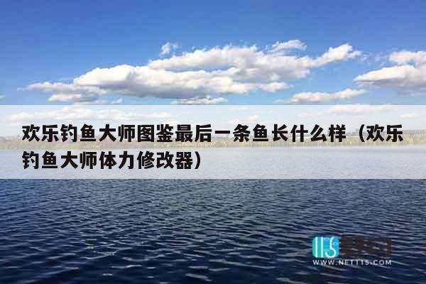 欢乐钓鱼大师图鉴最后一条鱼长什么样（欢乐钓鱼大师体力修改器）