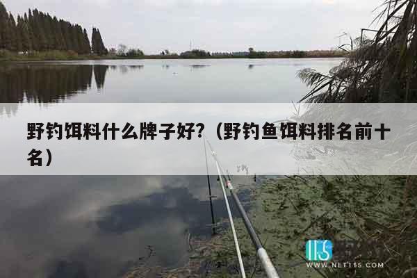 野钓饵料什么牌子好?（野钓鱼饵料排名前十名）