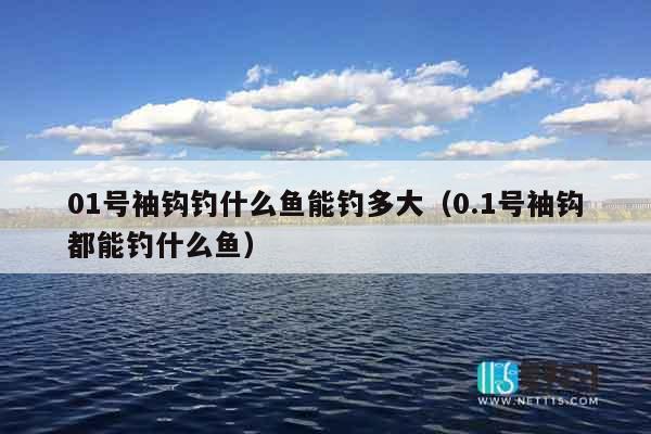 01号袖钩钓什么鱼能钓多大（0.1号袖钩都能钓什么鱼）