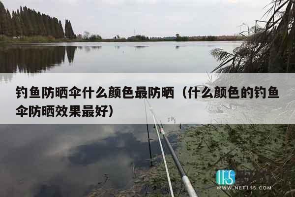 钓鱼防晒伞什么颜色最防晒（什么颜色的钓鱼伞防晒效果最好）