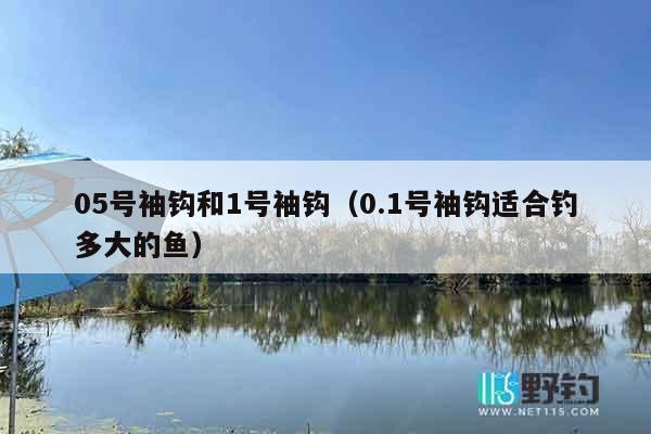 05号袖钩和1号袖钩（0.1号袖钩适合钓多大的鱼）