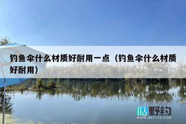 钓鱼伞什么材质好耐用一点（钓鱼伞什么材质好耐用）