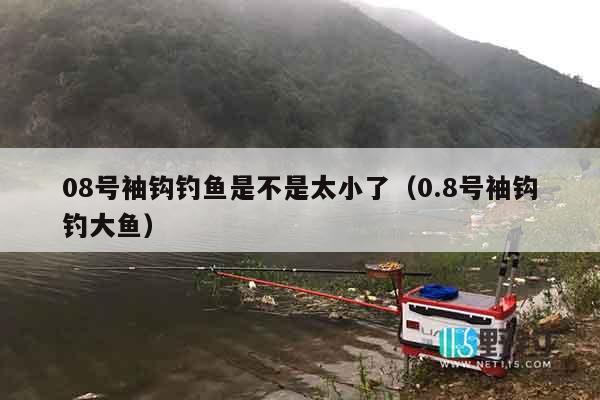 08号袖钩钓鱼是不是太小了（0.8号袖钩钓大鱼）
